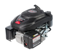 Двигатель BR202PV(L3) PRO (вертикальный вал)